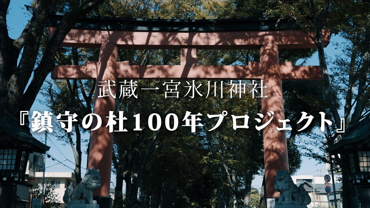 クラウドファンディングプロジェクト：武蔵一宮氷川神社「鎮守の杜100年プロジェクト」