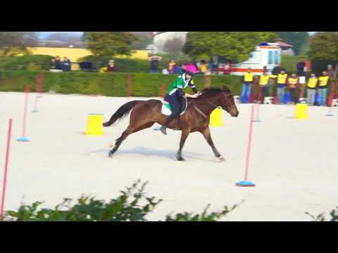 1° tappa trofeo 4 regioni mounted games 2019 Le Spice Girls