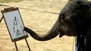 preview picture of video 'Elephant painting - Thailand Dec2009.MOV'