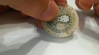 Freestyle libre décollé après 7 jours