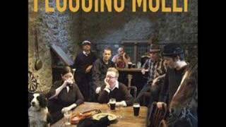 Man With No Country - Flogging Molly