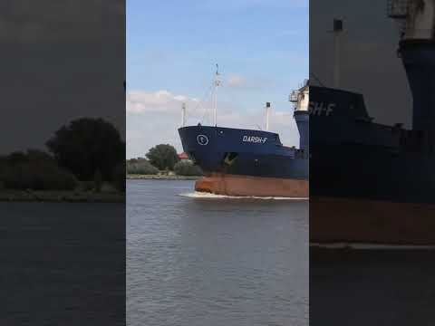 American line freight rate rise! Please contact me if you need any advice#shippingcompany