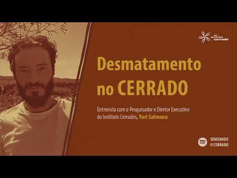 Desmatamento do Cerrado – Podcast Semeando