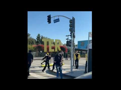 Papa mochi x baby mochi reunion