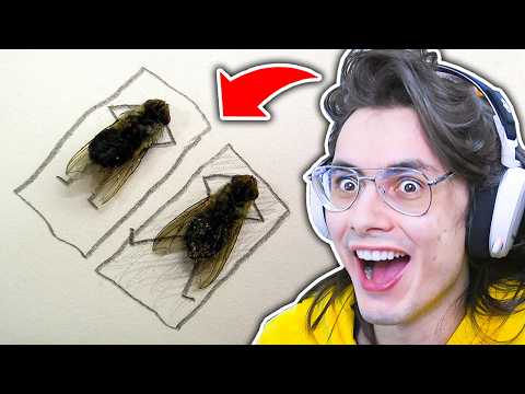BUZZZZZZZZZZZZZ | The Life of a Fly
