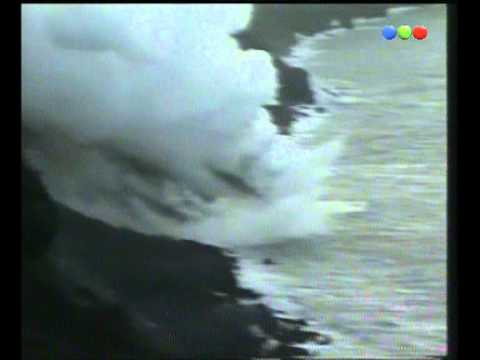 Marley y Georgina en un barco nocturno  - Por el mundo