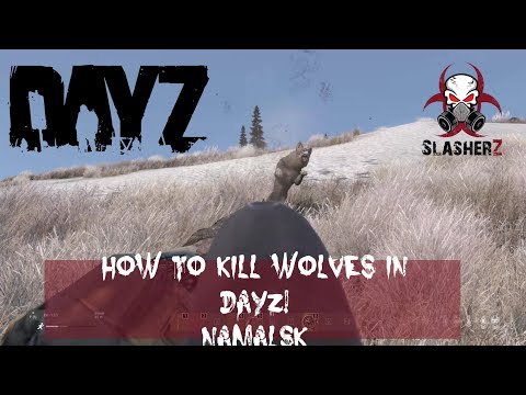 DayZ.  How to Kill Wolves in Namalsk?  Shotgun, that'll do nicely!