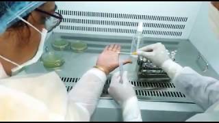 Swab hand swab and finger dab , microbiology , microorganisms , personal hygiene monitoring