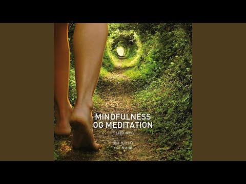 Kropsscanning & Afspænding