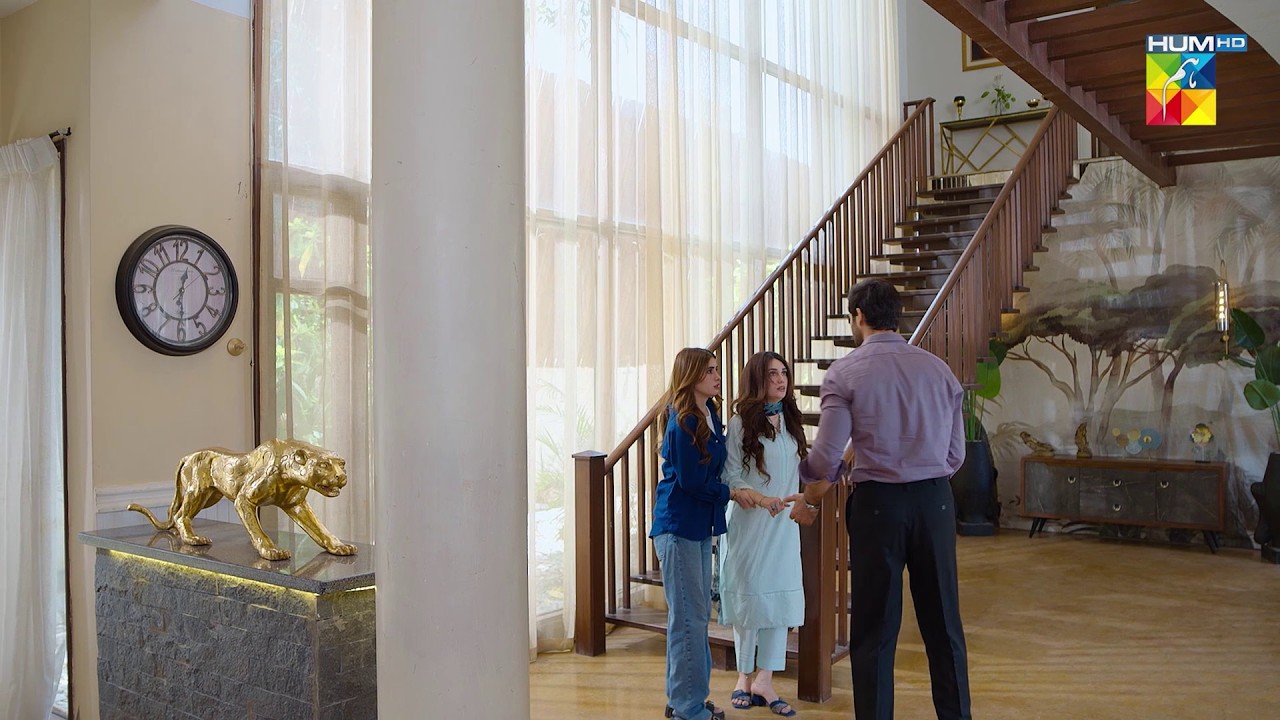 Aniza Ne Bachiya Mirha Aur Us Ke Bachay Ki Jaan.! #hinatariq - Aye Dil Aazma Nahin - HUM TV