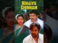 Ninaivu Chinnam 1989 Theme Music Ilaiyaraaja