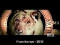 2nd Annual Logo Histories MGM History 1916 2012