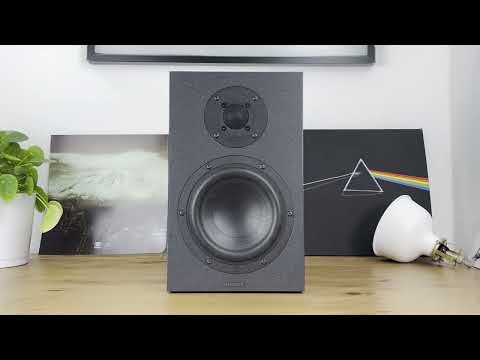 Nubert nuBoxx B-40 - Größte Regalbox der Serie mit erstaunlicher Power zum fairen Preis