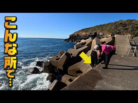 youtube-ガジェ・趣味記事2026/02/14 15:35:34