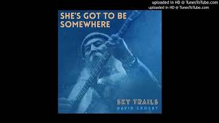 David Crosby - Sky trails - Curved air