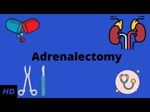 Hepatitis Causes Signs and Symptoms Diagnosis and Treatment