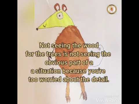 MOUSIDIOMS 5: IDIOMS FOR KIDS