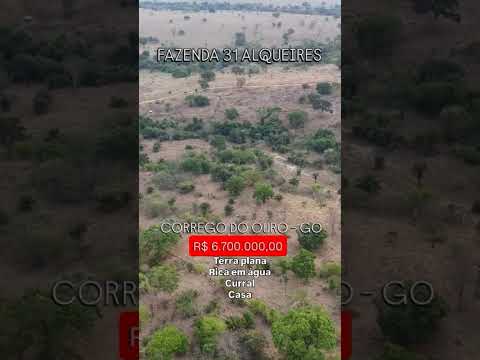 31 Alqueires em Córrego do Ouro - Go | whatsapp 62 99373-6407