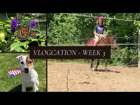 Vlogcation - Week 3