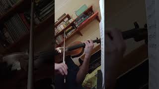 The Caretaker - Quiet Dusk Coming Early [D2] violin cover