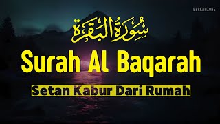 Download lagu SURAH AL BAQARAH FULL MERDU MENYEJUKKAN HATI, PELINDUNG DIRI by AHMAD AL SHALABI mp3 Download lagu SURAH AL BAQARAH FULL MERDU MENYEJUKKAN HATI, PELINDUNG DIRI by AHMAD AL SHALABI mp3