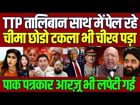 Breaking : Arzoo Kazmi Qamar Cheema Crying on Taliban attacking on Pakistan Army with TTP