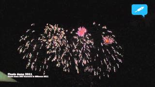 Finale 2011 | ANO Vuurwerk | Vuurwerkforum.nl