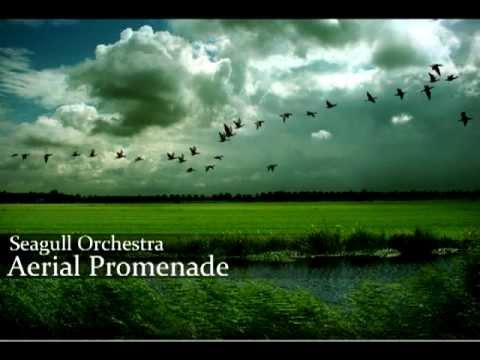Seagull Orchestra - Aerial Promenade