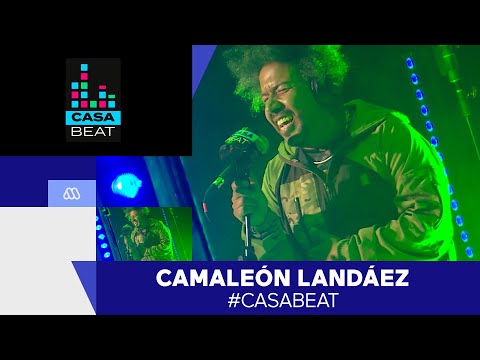 Casa Beat / Metro Cuadrado de Camaleón Landáez