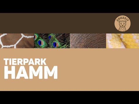 Tierpark Hamm • Ein Zoo auf dem Weg in die Moderne!