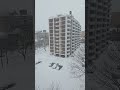 Snow day
