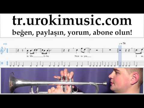 Trompet dersleri Miley Cyrus - Malibu Notalar Eğitim Bölüm#2 um-i723