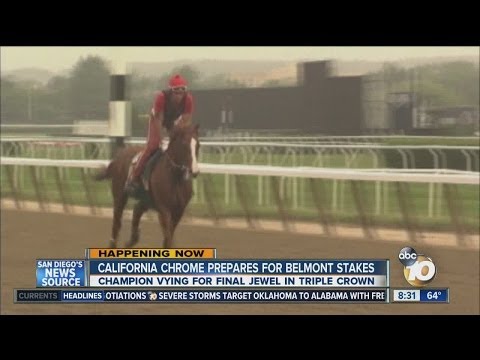 California Chrome goes for final jewel in Triple Crown