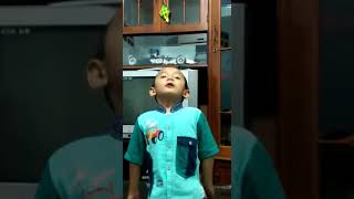 Download lagu Belajar pancasila mp3 Download lagu Belajar pancasila mp3