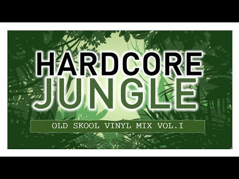 JUNGLE HARDCORE 1993 VINYL MIX - DJ OLLIE D.
