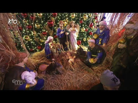 Terra Santa News du 14 décembre 2025