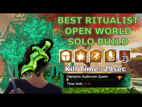 Guild Wars 2 : Best Ritualist Open World Solo Build