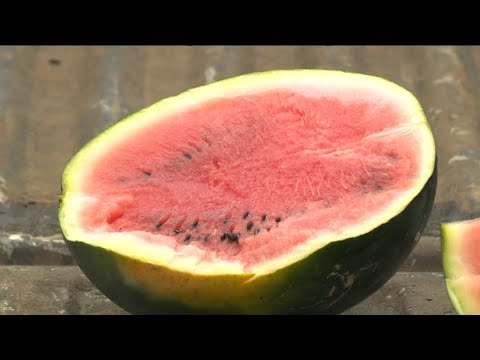 Mati Ke Mol - Water Melon