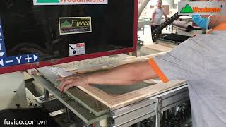 MỘNG ÂM CNC 3 ĐẦU, 4 ĐẦU WOODMASTER GIÁ TỐT NHẤT HCM