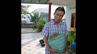 người tốt giờ tìm đâu ra #food #song #giadinh #giaitri #reviewvui #cuocsong