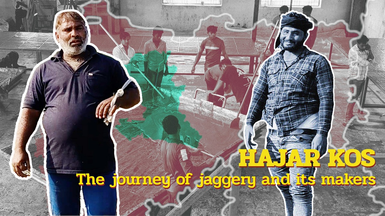 How migrants power the jaggery mills of Maharashtra | Sugar mills | Seasonal migration | India