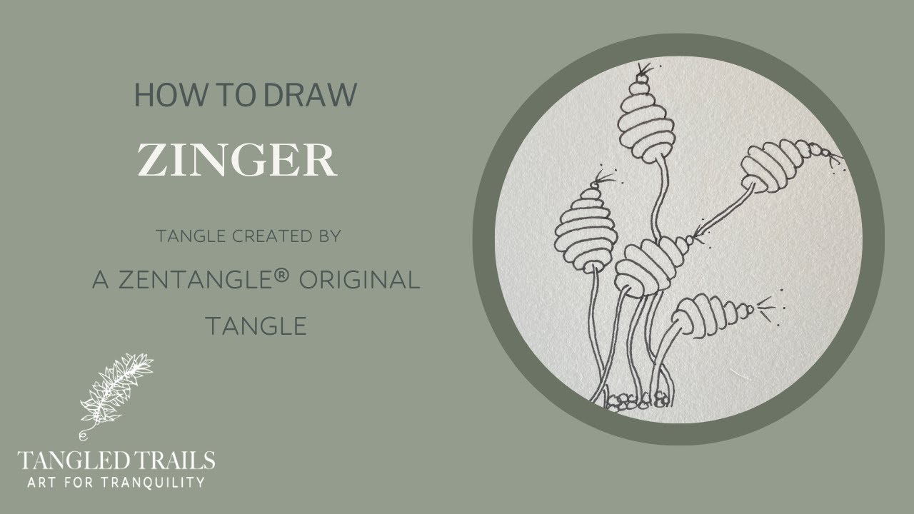 How to Draw Tangle Pattern Zinger for New Tanglers/Certified Zentangle Teacher
