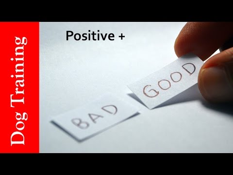 download lagu mp3 mp4 Quadrents, download lagu Quadrents gratis, unduh video klip Quadrents