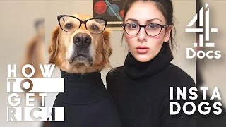 My Dogs Are Instagram Famous | How To Get Rich: Pet Influencer