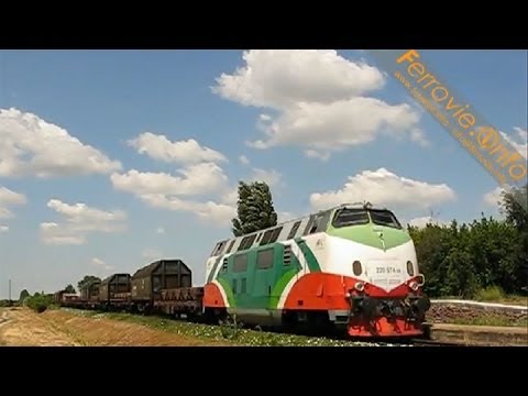 D 220 FER a Schivenoglia - D 220 FER in Schivenoglia