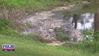 Dozens of dead fish surface in pond in Jacksonville’s Murray Hill neighborhood
