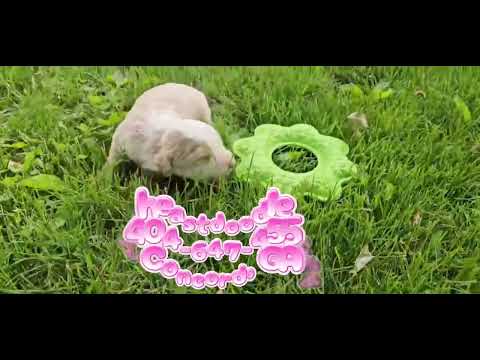 Thumbnail for Ruby Tuesday's video