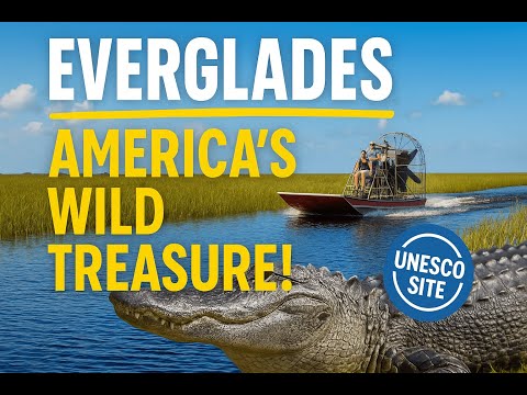 Top Things to Do in Everglades National Park  Full Visitor’s Guide 2025