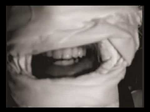 Archie Bronson Outfit - Wild Strawberries (Official Video)