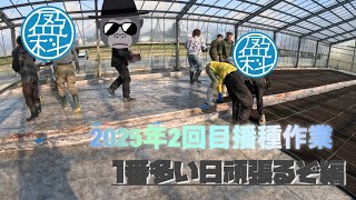【播種】2025年2回目播種作業【盈科】